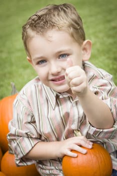 Adorable Young Child Boy Enjoying the Pumpkins at the Pumpkin Patch.