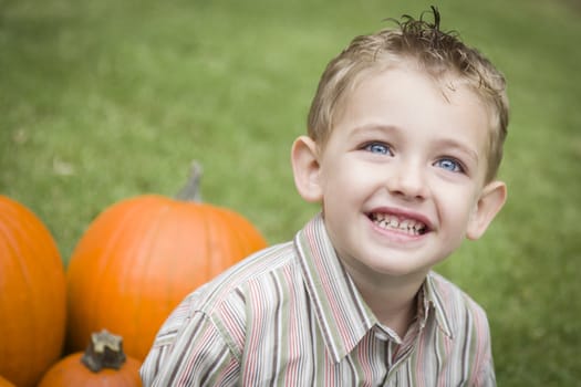 Adorable Young Child Boy Enjoying the Pumpkins at the Pumpkin Patch.