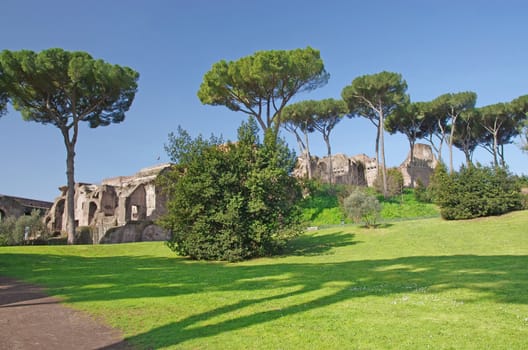 Palatine hill in Rome with Roman forum ruins