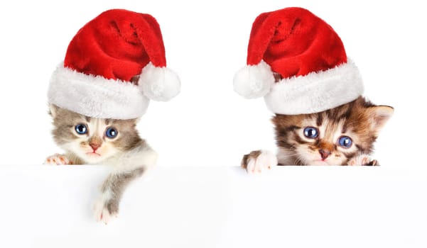 Kitten santa cap banner