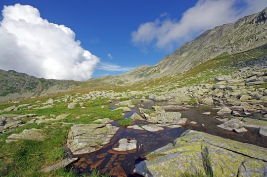 Summer mountain landscape in Retezat National Park