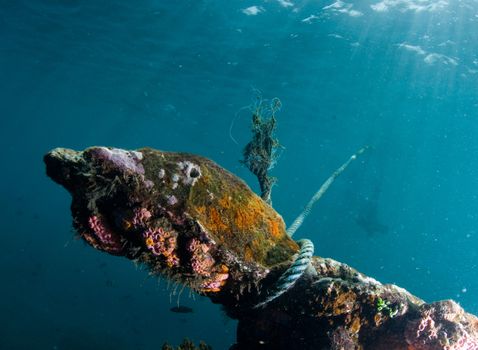 World War II shipwreck underwater in Bali
