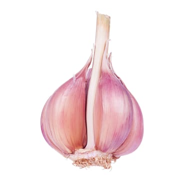 Fresh young garlic isolated on white background