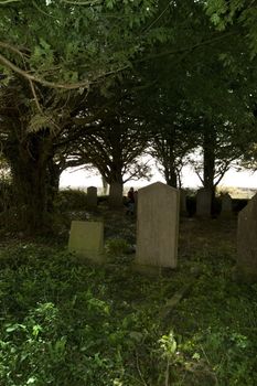 a woman searching for a grave in an old irish graveyard