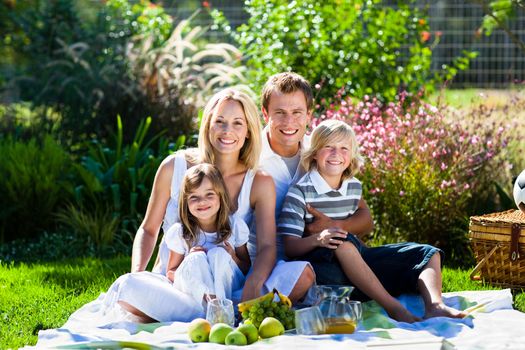 Smiling young family having picnic in a park