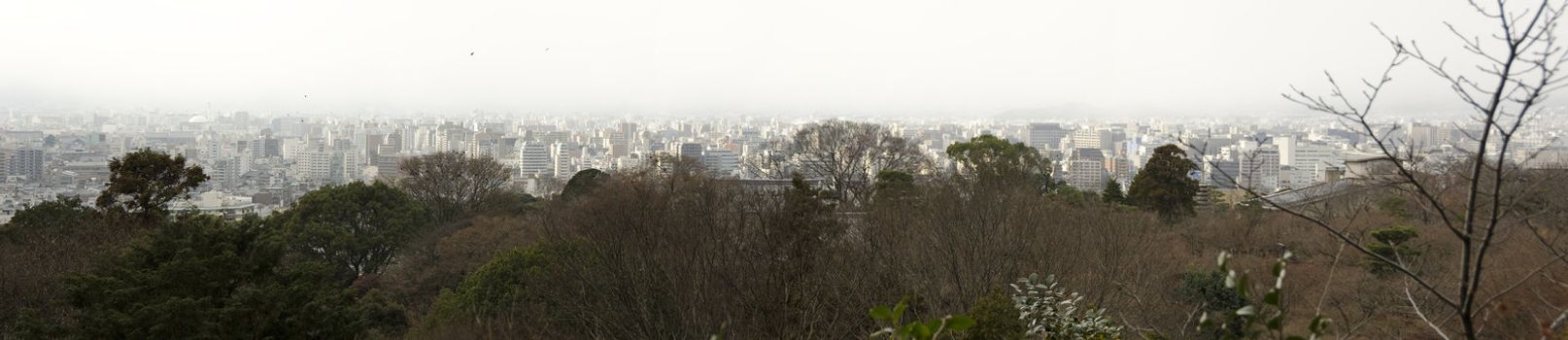Panorama view of Kyoto with trees in the forground