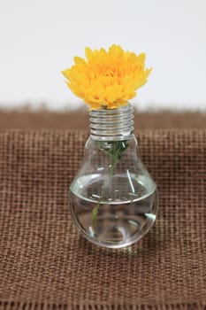 light bulb with a yellow flower on woven fabric