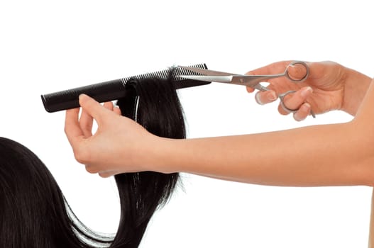 hairdresser cutting young woman with long black hair