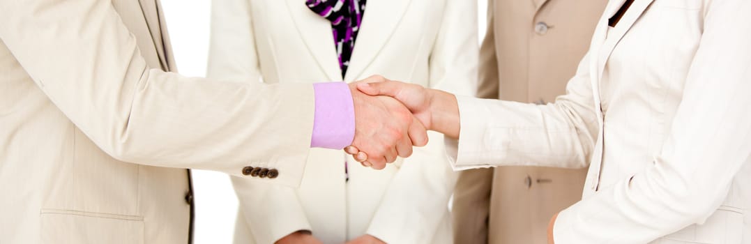 Close-up of business partners shaking hands. Business concept.
