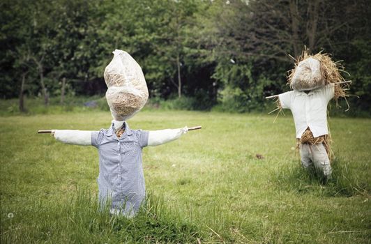 Two straw scarecrows in a grassy field dressed as a man and woman to scare the birds away