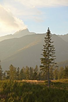 Mountain landscape in soft light