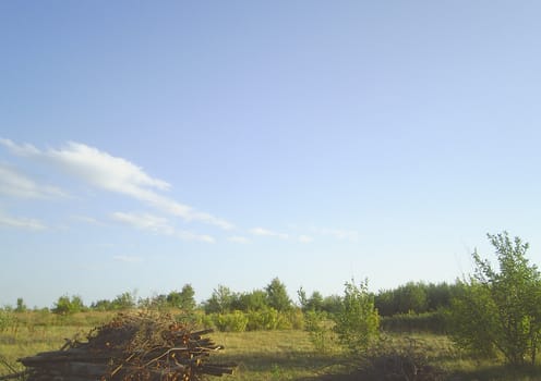 Summer quiet rural landscape with a field and the sky