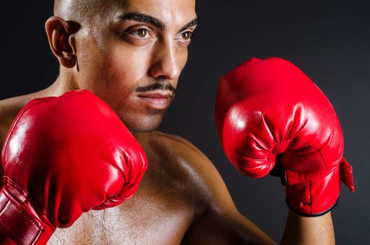 Muscular boxer in studio shooting