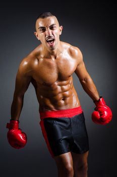 Muscular boxer in studio shooting