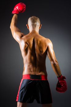 Muscular boxer in studio shooting