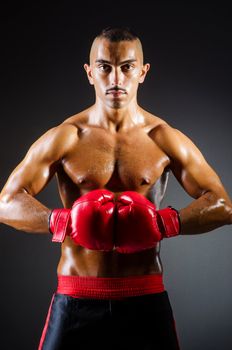 Muscular boxer in studio shooting