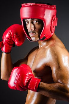 Muscular boxer in studio shooting