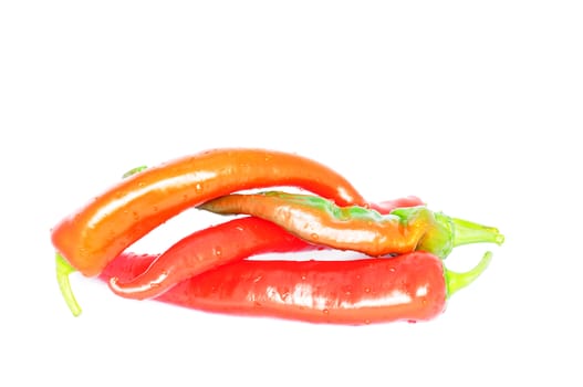 Fresh pepper on a white background