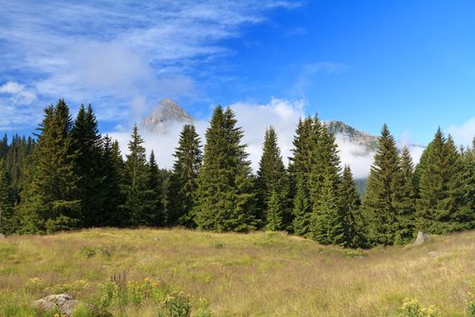 summer landscape in Italian Dolomites, Trentino, Italy