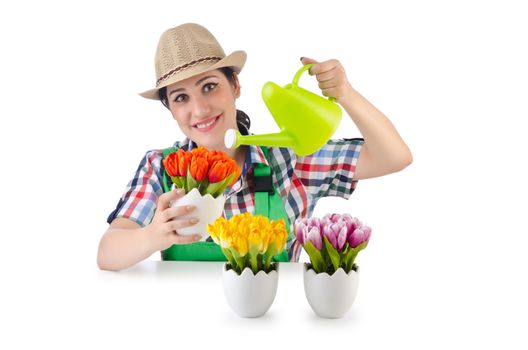 Girl watering plants on white