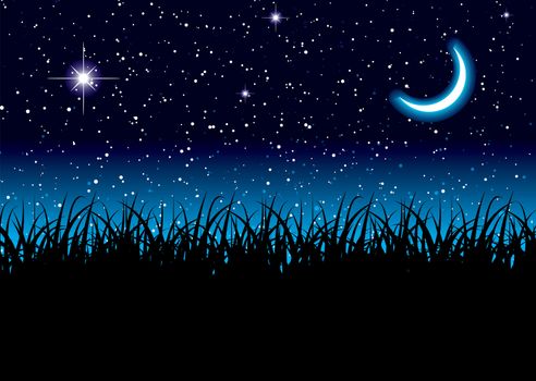 Long grass with space scape and bright cresent moon