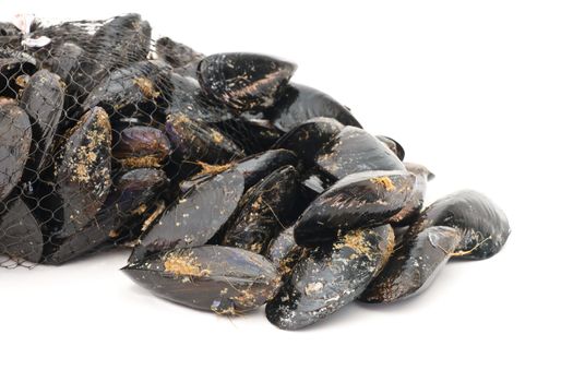 	basket with fresh mussels over white background