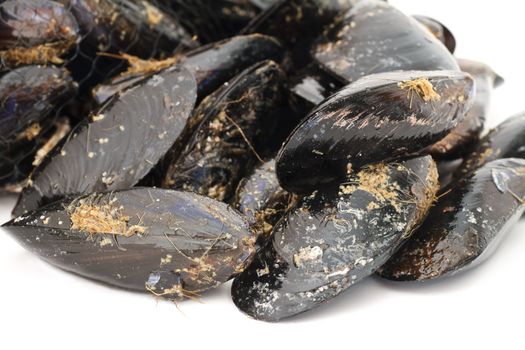 detail of fresh mussels over white background