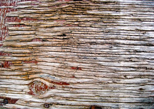 Wood pattern2