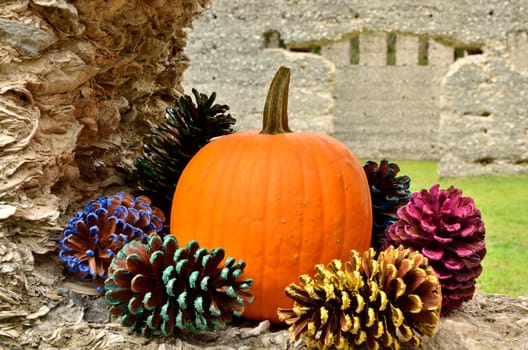 A pumpkin at the tabby ruins surrounded by colorful pine cones