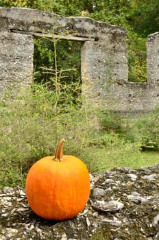 A fall pumpkin sits amid the tabby ruins
