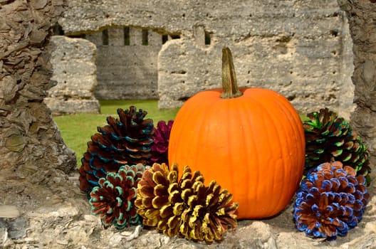 Orange pumpkin and painted pine cones add color to the tabby ruins, Photo by Jackie DeBusk







Orange pumpkin and painted pine cones add color to the tabby ruins