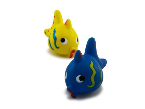 children toy fish on a white background