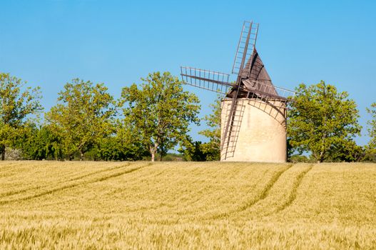 Barley and wheat field and windmill, blue sky background