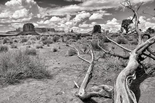 Monument valley black and white landscape view, USA
