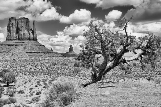 Monument valley black and white landscape view, USA