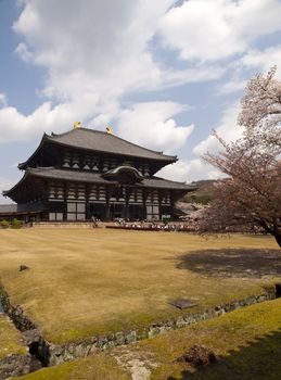Main Hall of Todaiji Temple in Nara, Japan during Cherry Blossom season.