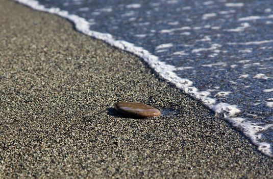 Isolated stone on the beach