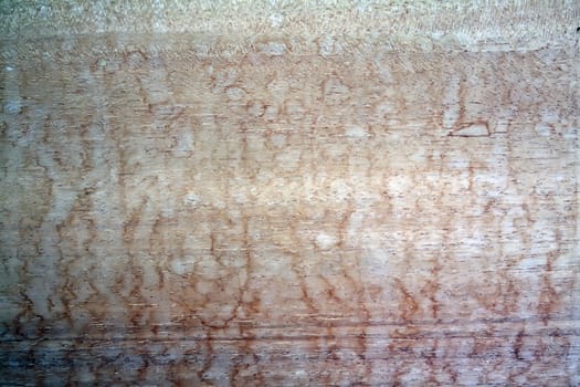 Wood texture