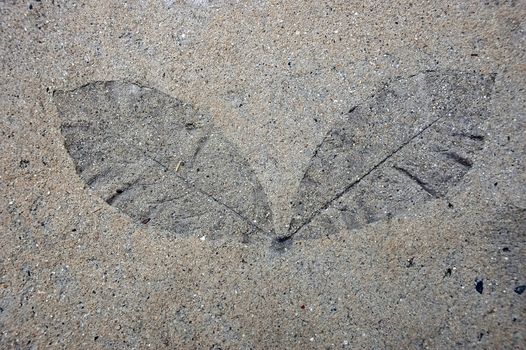 Figure leaf stone