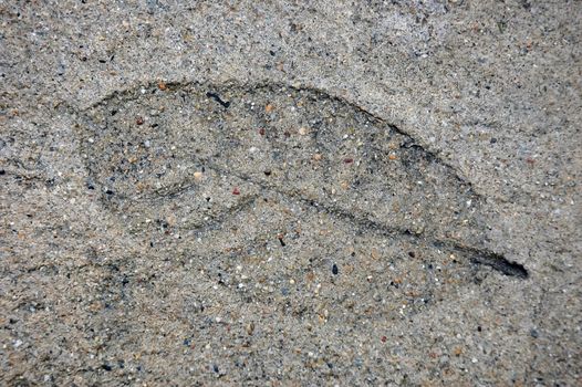 Figure leaf stone