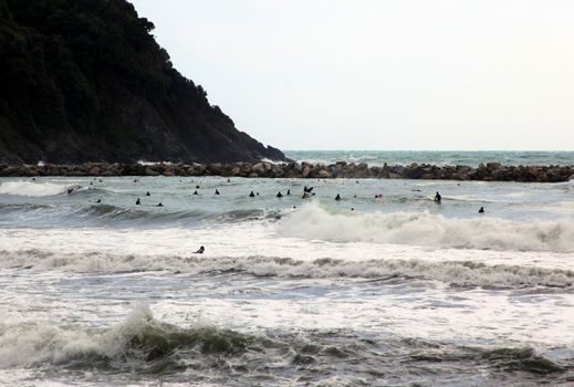 Waves in a stormy day