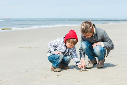 Adorable happy kids plaing with crab on the beach on spring day