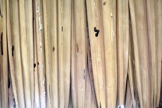 Roofs made from leaves