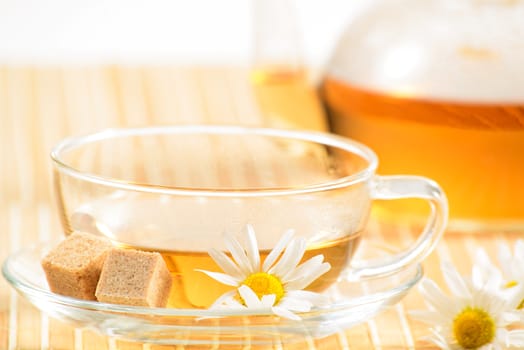 A teacup and a teapot with herbal chamomile tea