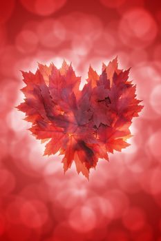 Heart Shape with Fall Red Maple Tree Leaves on Blurred Defocused Background