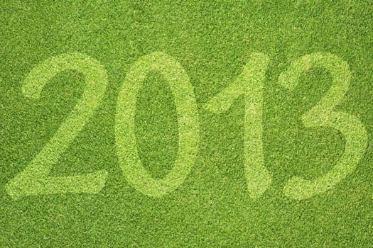 Green grass of 2013 year texture and  background