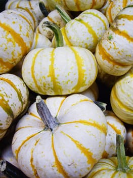 Yellow stripe gourds displayed in market for Fall