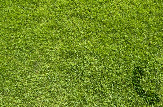 Phone icon on green grass texture and background 