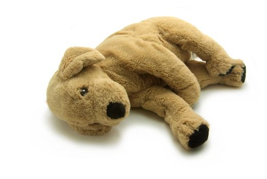 A Stuffed brown dog isolated on white background 
