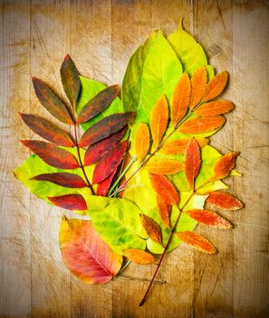 autumn leaves on a wooden surface